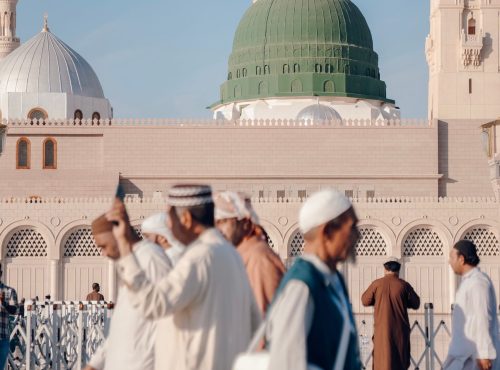 pexels-photo-19310992